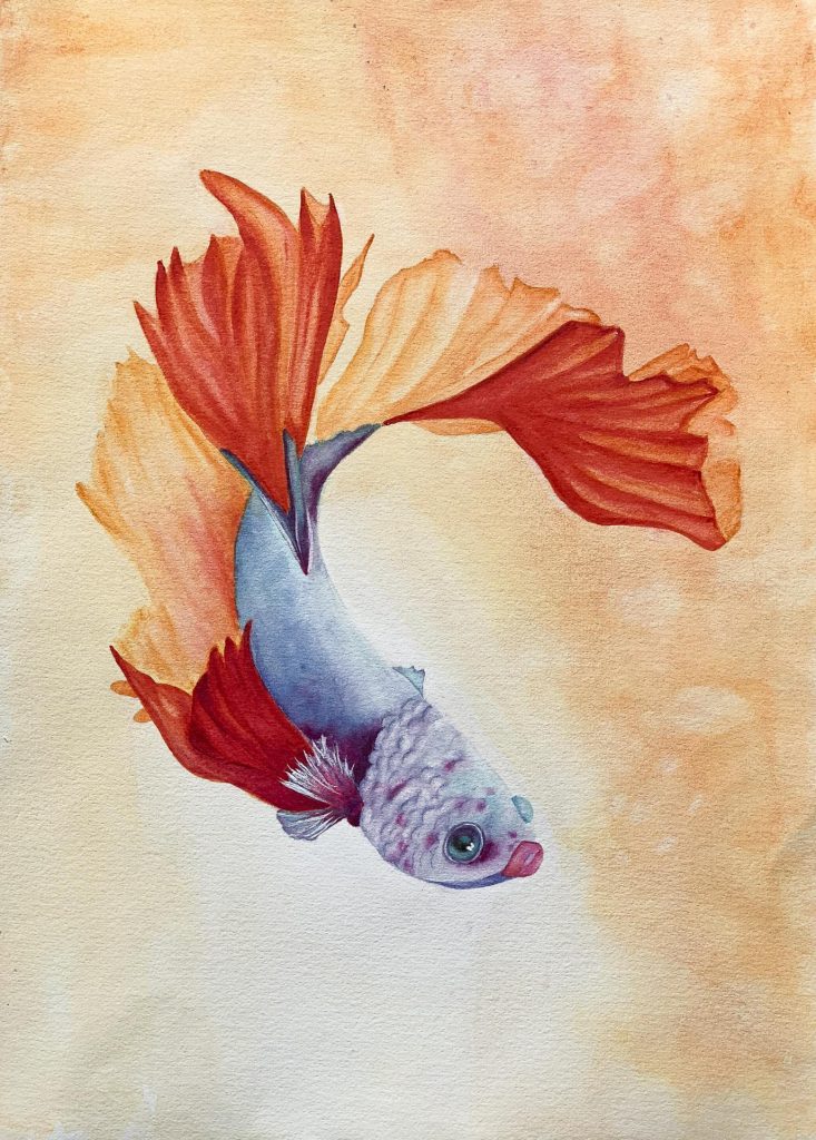 A colourful paining of a fighting fish with red tail and blue body against a pale peach textured background