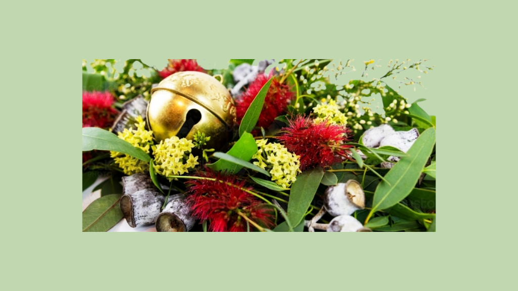 Close up of wattle, bottlebrush flowers, gumnuts and a golden bell